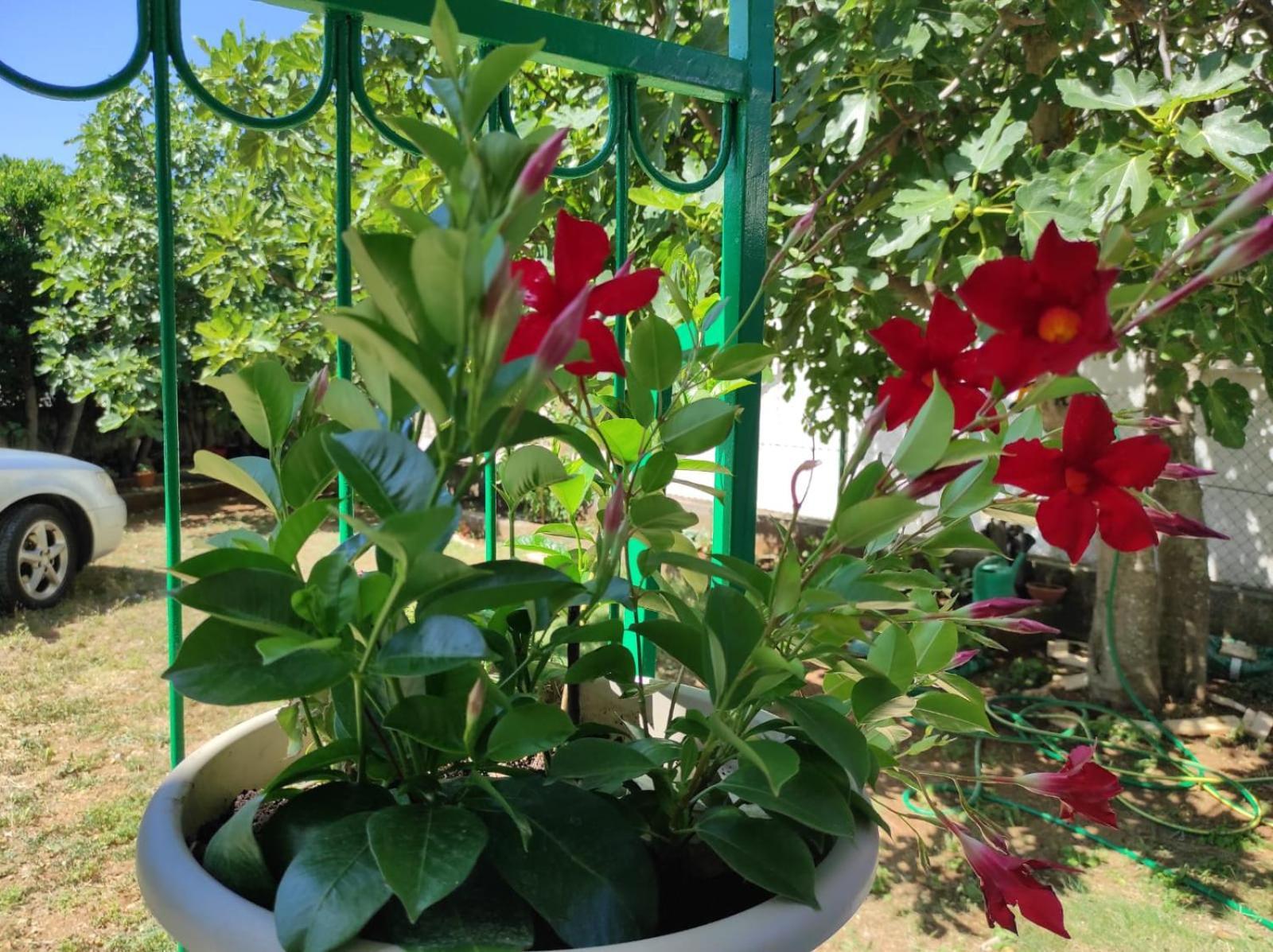 Apartment With Terrace And Garden Pirovac Luaran gambar